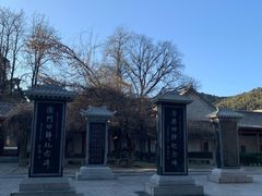 -黄帝陵