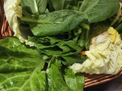 春色满园-龙泉人椰子鸡·糟粕醋·地标海南菜(龙昆南店)