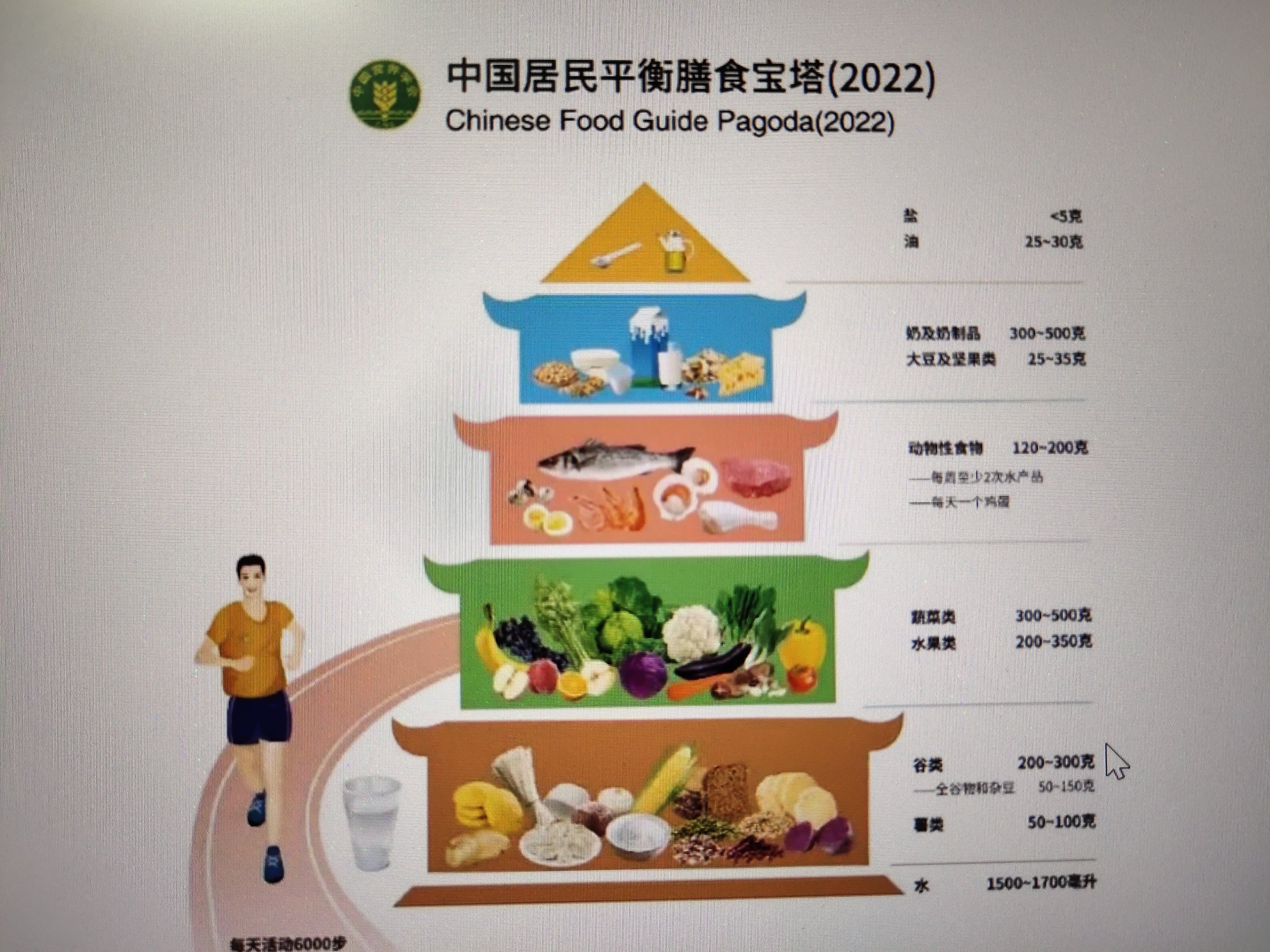 膳食宝塔图片高清图片