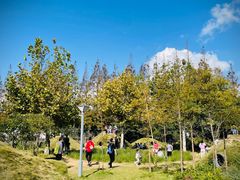 -前小桔亲子创意农场·草莓采摘·露营烧烤