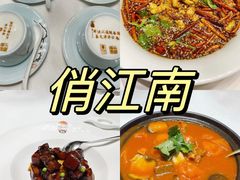 -俏江南(中山路先天下广场店)