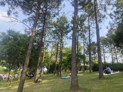 -上海海洋水族馆