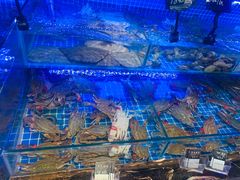 -渔民船说·北塘海鲜·天津菜·海肠捞饭(北塘古镇店)