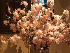 -星巴克臻选(思南公馆店)