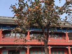 -北京石刻艺术博物馆(五塔寺)