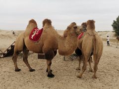 -库伦旗银沙湾旅游景区