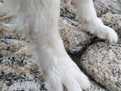 -西涌国际滨海旅游区