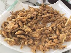-途肴·老农饭庄(百里峡店)