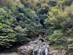 -长谷洞天