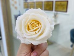 -美斯烘焙培训学院•蛋糕•面包•咖啡(宝安校区)