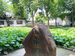 -寻宝记绍兴菜(鲁迅路店)