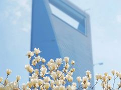 -陆家嘴中心绿地