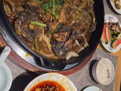 -老板恋上鱼(恒隆广场店)