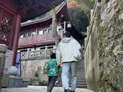 -韬光茶庵
