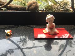 -彩葉·樱花屋日本料理(动物园店)