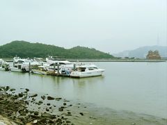 -野狸岛