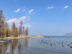 -大理洱海
