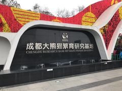 景点-成都大熊猫繁育研究基地