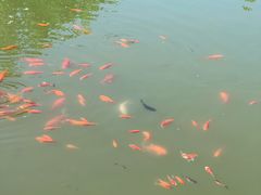 -仁和公园(顺义区)