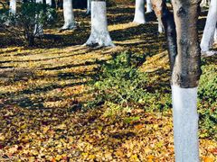 -江南大学(蠡湖校区)