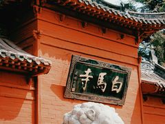 -洛阳白马寺