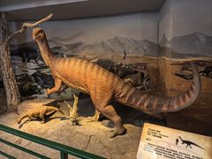 -陕西自然博物馆