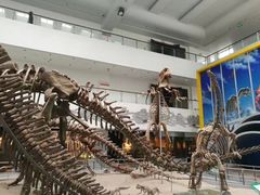 -中国地质大学逸夫博物馆