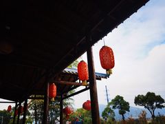 -呼吸森林·生态农庄农家乐私房菜