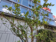 -上海杨思亦阁公寓