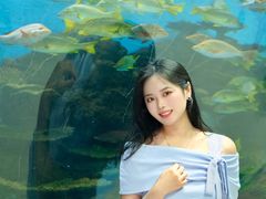 -合肥海洋世界
