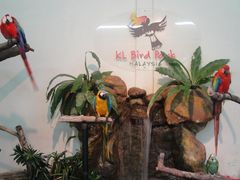 -吉隆坡雀鸟公园