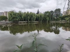 -凤池园