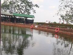 -侯臣咖啡文化村