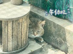 -青藏高原野生动物园