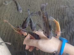 -溧阳天目湖天沐温泉