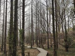 -国家植物园南园