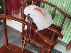-四海楼(如皋定慧禅寺店)