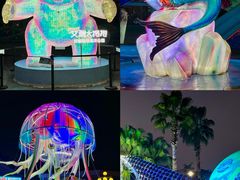 -海合安成都极地海洋公园