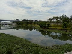 -宝安西湾红树林湿地公园