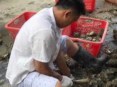-蚝专家(北滘店)