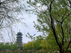 -洋湖国家湿地公园