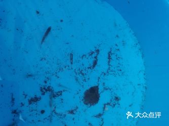 门头沟采摘 烧烤 探险 爬山 抓鱼 氧吧
