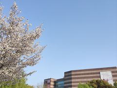 -玉山公园
