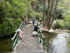 -王顺山国家森林公园
