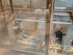 -星巴克臻选(成都宽窄巷子店)