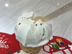 -野人先生现做冰淇淋(西安赛格店)