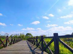 -梁鸿国家湿地公园