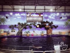 -石家庄极地海洋世界