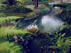 -Chom Cafe and Restaurant