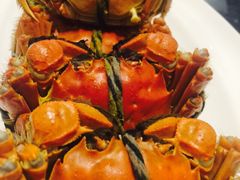 -新光酒家·河豚·海鲜·蟹料理(浦东店)